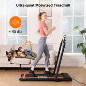 2-in-1 Basic Treadmill AD-4000 | Lichico