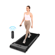 Basic Walkingpad DK-38-AB-2 | Lichico